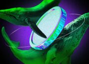 Apa yang Dibeli Whale untuk Potensi Keuntungan di Juni