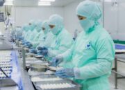 Produsen Produk Seafood RI Bawa Semangat Baru ke Meja Makan Dunia
